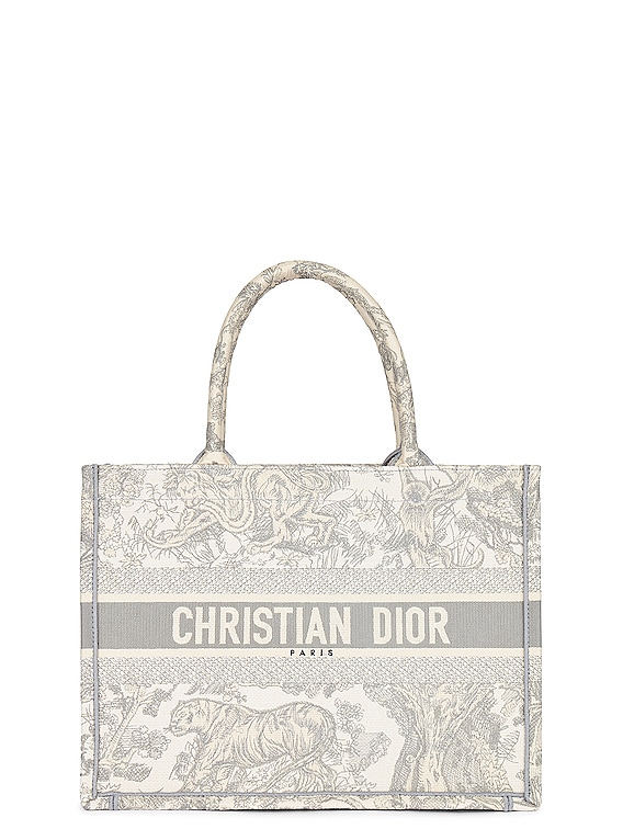 FWRD Renew Dior Book Tote Bag
