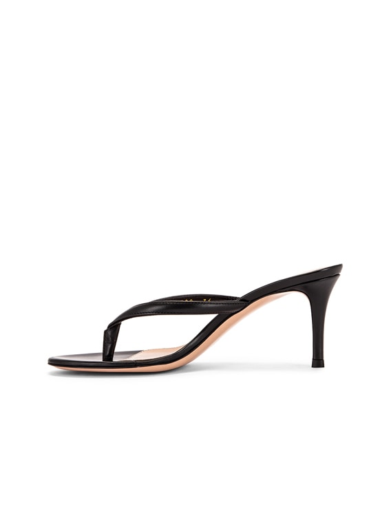 Gianvito Rossi Thong Sandals in Black