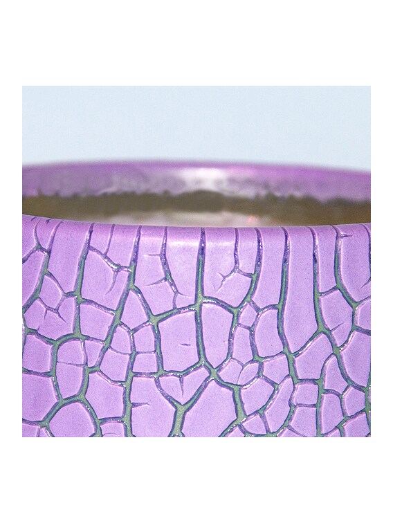 Houseplant Crackle Candle in Purple | FWRD