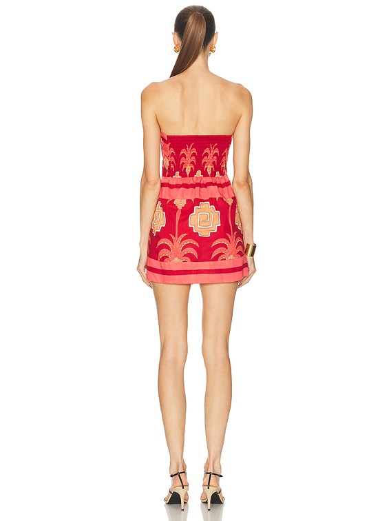 Raiz Ritual Mini Dress