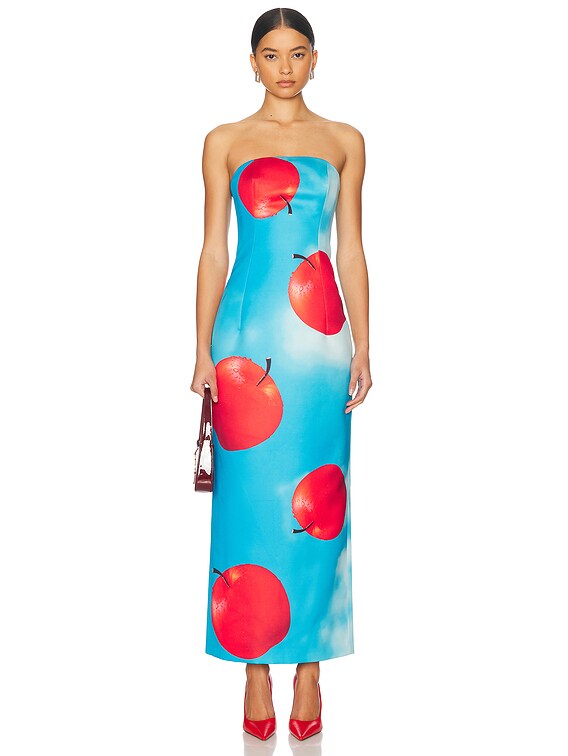 chinese dress ladies Leo Lin - Rayna Palm Bustier Maxi Dress