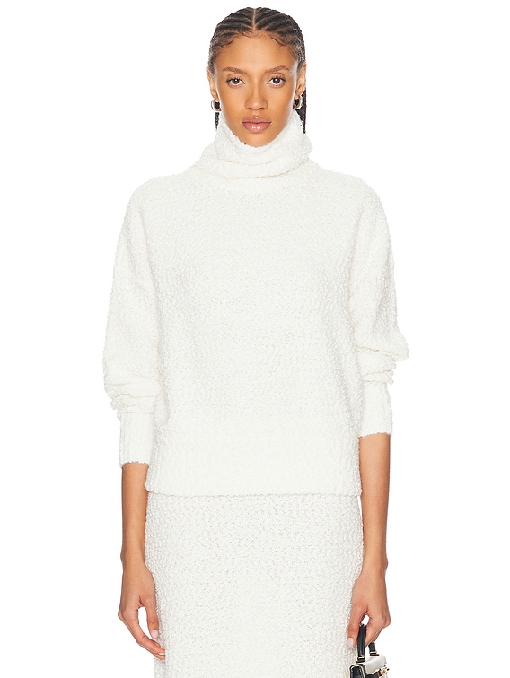 Evan Turtleneck Sweater