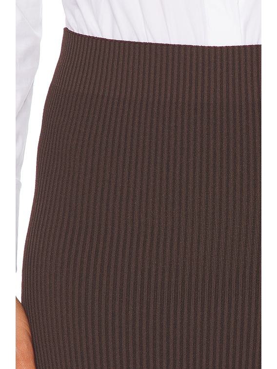 Max Mara Aprile Skirt in Brown | FWRD