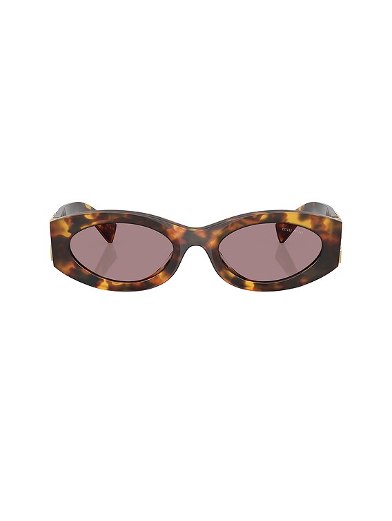 Oval Sunglasses