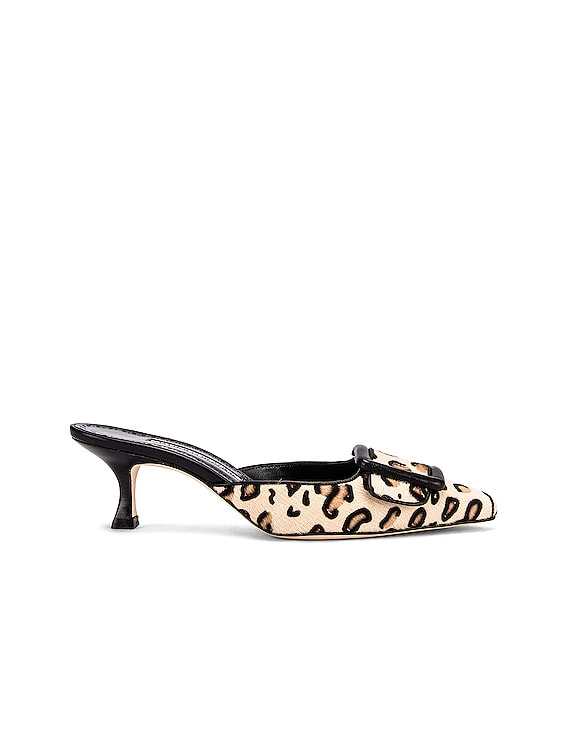 Manolo Blahnik Maysale 50 Heel in Leopard | FWRD