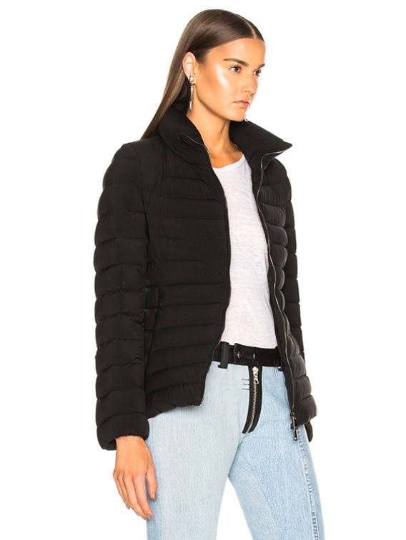 guillemot moncler