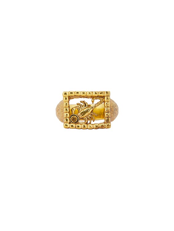 MAPLE SCORPIO シグネットリング - 14k Gold P & Zircon | FWRD