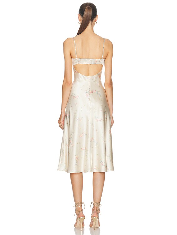Mirror Palais Jardin Ballet Dress in French Garden | FWRD