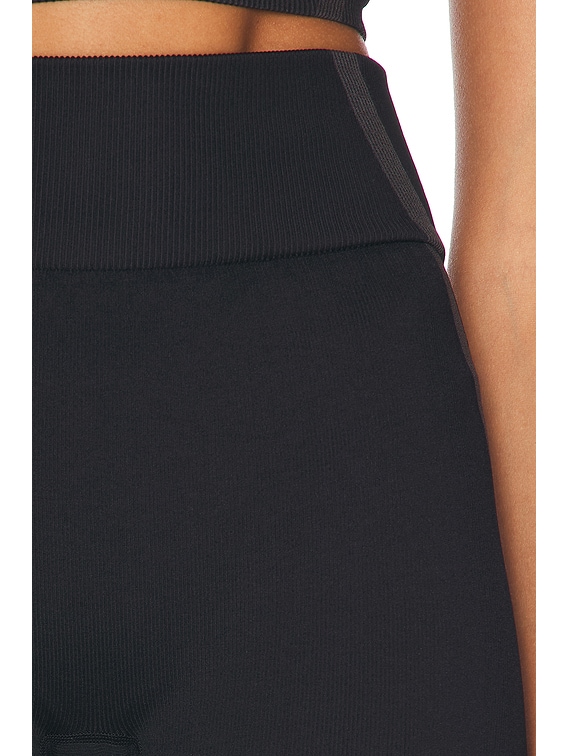 Studio Knit Shorts
