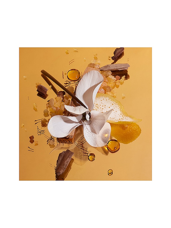 Somebody Wood Body Wash