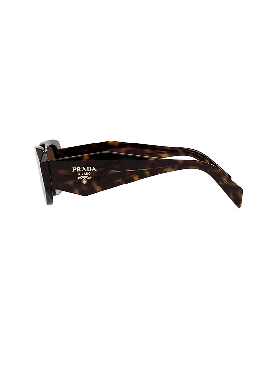 Prada sunglasses scultoreo narrow sunglasses in Havana asa tourtis PRAD-WA28_V1.jpg main image 4