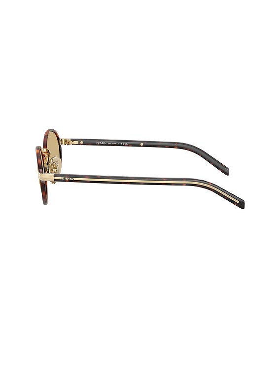 Prada Round Sunglasses in Root Tortoise | FWRD