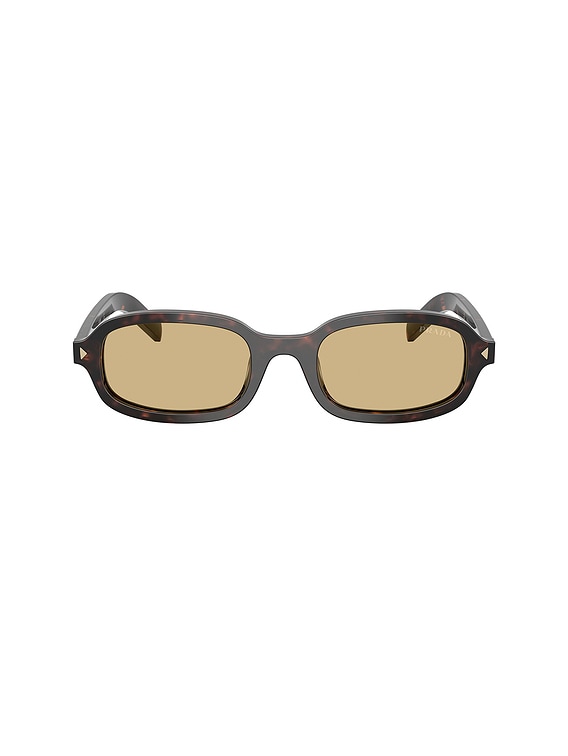 Prada Oval Sunglasses in Brown & Havana | FWRD