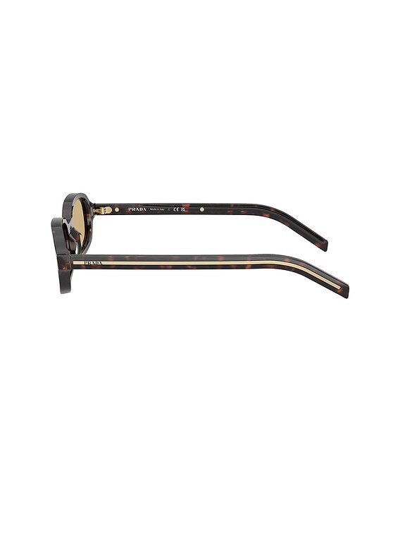 Prada Oval Sunglasses in Brown & Havana | FWRD