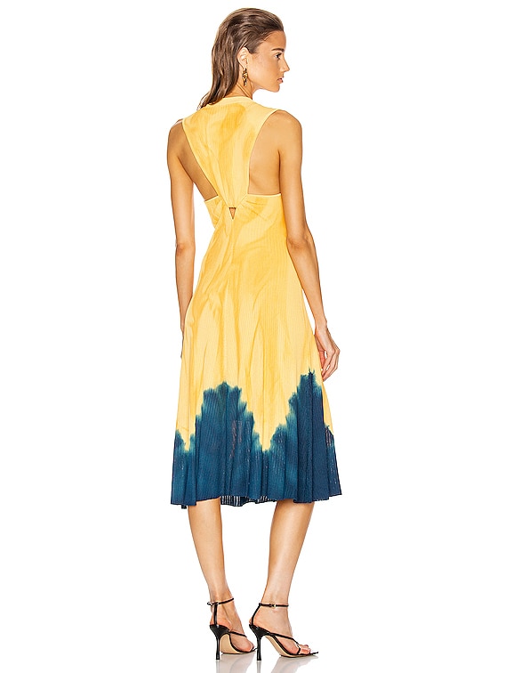 proenza tie dye dress