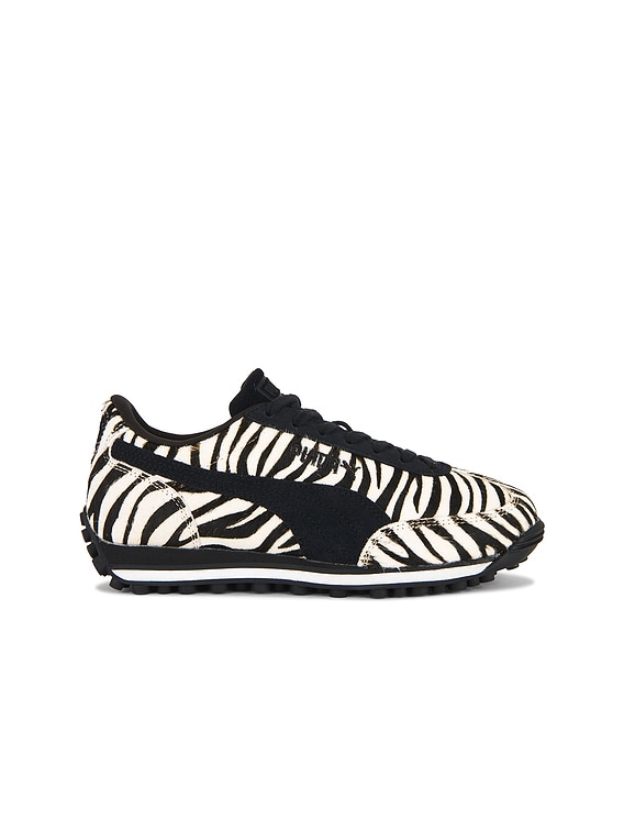 Easy Rider Zebra Sneaker