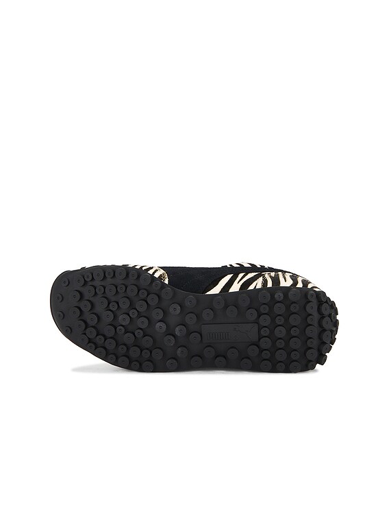 Easy Rider Zebra Sneaker