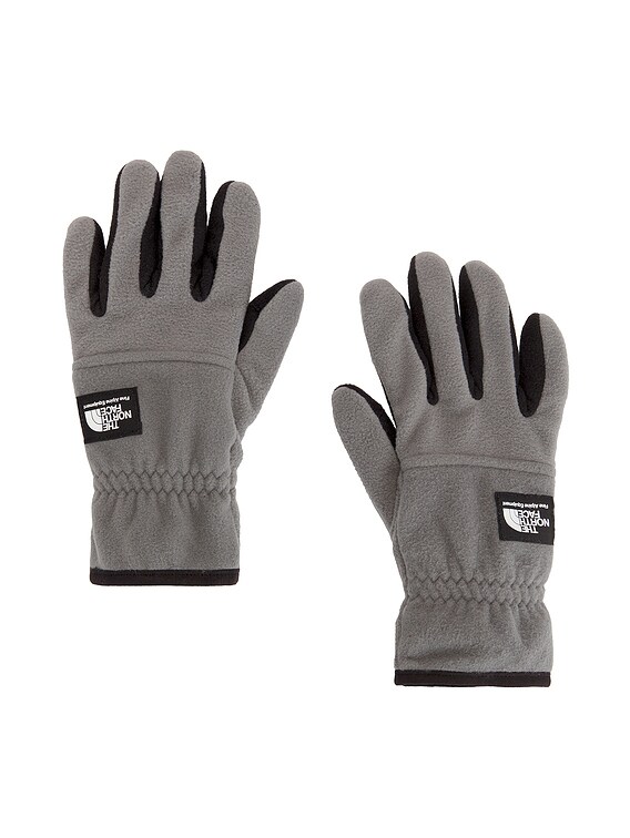 The North Face Etip Heavyweight Fleece Glove Smoked Pearl L