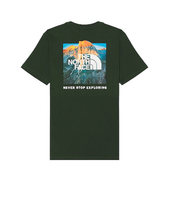 The North Face Men's Big S/s Box Nse Tee in Pine Needle & Photo