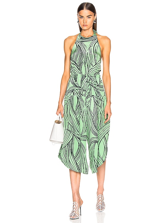 jumpsuit zebra