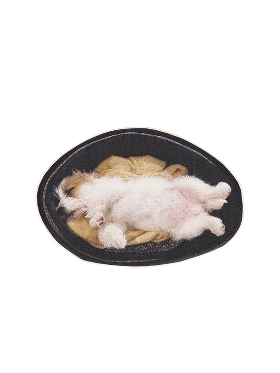 Undercover Dog Pouch in Black | FWRD