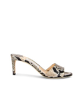 Jimmy Choo Anouk Leather Pumps in Off White | FWRD