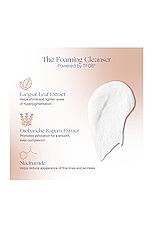 Augustinus Bader The Foaming Cleanser , view 4, click to view large image.