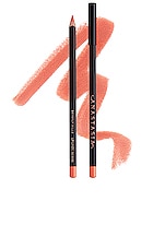 Anastasia Beverly Hills Lip Liner in Sunbaked, view 1, click to view large image.