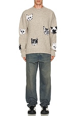 Acne Studios Sweater in Beige, view 4, click to view large image.