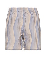 Acne Studios Swim Short in Blue & Beige, view 2, click to view large image.
