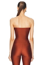 The Andamane Lucille Strapless Top in Intense Rust, view 3, click to view large image.