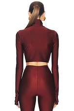 The Andamane Orchid Crop Top in Bordeaux, view 3, click to view large image.