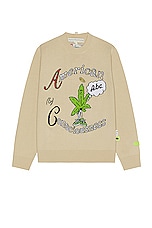 Advisory Board Crystals American Consciousness Sweater in Natural White, view 1, click to view large image.