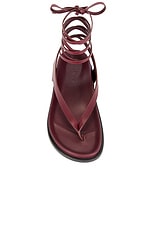 A.EMERY Shel Sandal in Merlot, view 4, click to view large image.