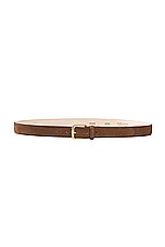 AUREUM Chocolate Suede Belt in Chocolate & Gold, view 1, click to view large image.