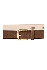 AUREUM Chocolate Suede Belt in Chocolate & Gold, view 2, click to view large image.