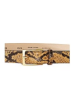 AUREUM Snake Embossed Belt in Snake, view 2, click to view large image.