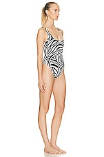 AEXAE Classic One Piece Swimsuit in Zebra, view 2, click to view large image.