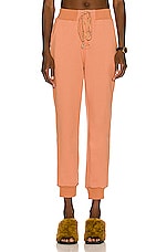 Atoir The Status Track Pants in Sienna, view 1, click to view large image.