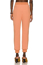 Atoir The Status Track Pants in Sienna, view 3, click to view large image.