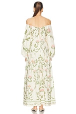 Agua by Agua Bendita Senlis Maxi Dress in Ivory, Green, & Pink, view 3, click to view large image.