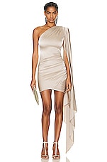 Alexandre Vauthier Couture Edit Mini Dress in Beige, view 1, click to view large image.