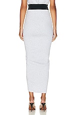 ALAÏA Draped Skirt in Gris & Noir, view 3, click to view large image.