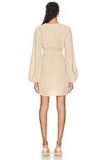 Alexis Piper Dress in Tan, view 3, click to view large image.
