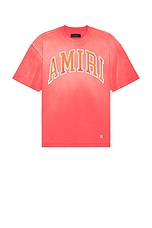 Amiri Vintage Oversized Tee in Cranberry | FWRD