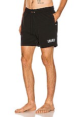 Amiri Core Logo Swim Trunks in Black, view 3, click to view large image.