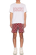 Amiri Bandana Paisley Swim Trunk in Red, view 4, click to view large image.