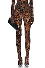 Alex Perry Leopard Burnout Mesh Stocking in Tobacco, view 1, click to view large image.