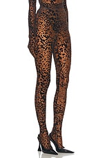 Alex Perry Leopard Burnout Mesh Stocking in Tobacco, view 2, click to view large image.