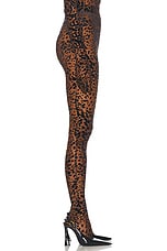 Alex Perry Leopard Burnout Mesh Stocking in Tobacco, view 3, click to view large image.